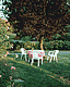 Unter dem Baum / Under the tree