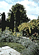 Gartendetail / Detail of garden