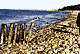 Strand / Beach