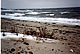 Strand im Winter / The beach in winter