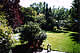 Gartenwiese / The Lawn