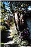 Hausseite / View along the walkway